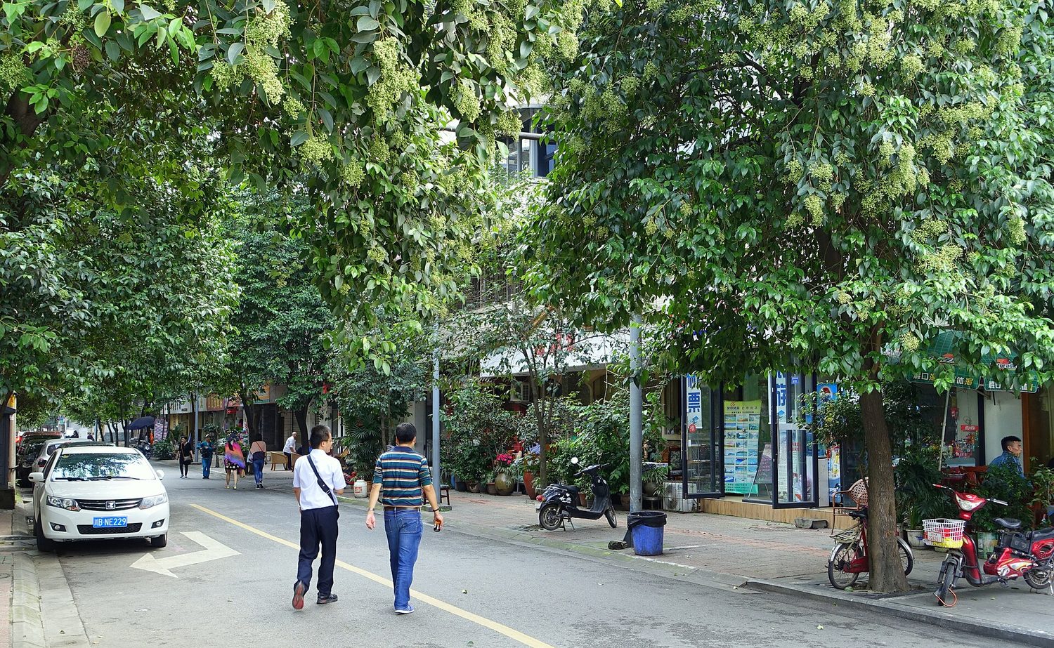 A narrow Chengdu street with food stalls and lanterns