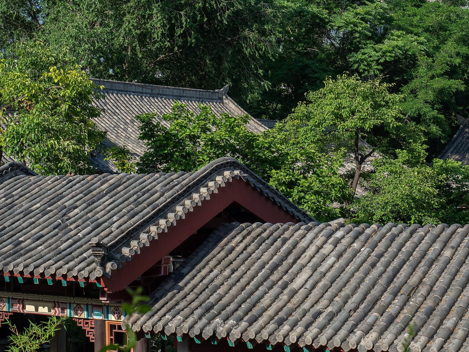 jinan — credits on the image sources page