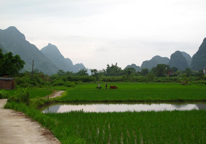 Limestone peaks along the Li River near Yangshuo