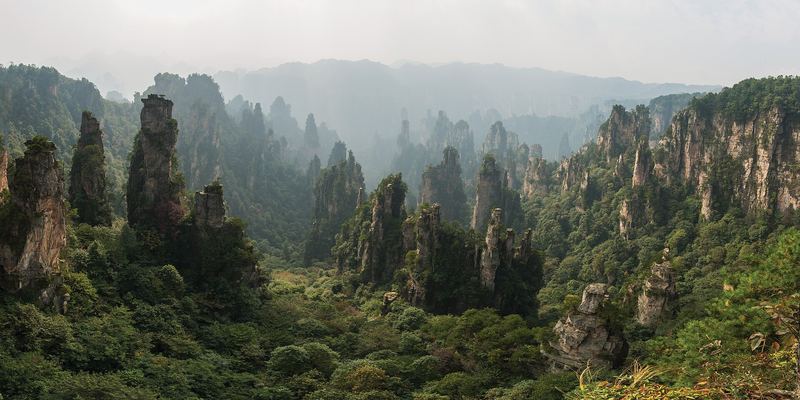 Sandstone pillars rising out of the forest in Zhangjiajie