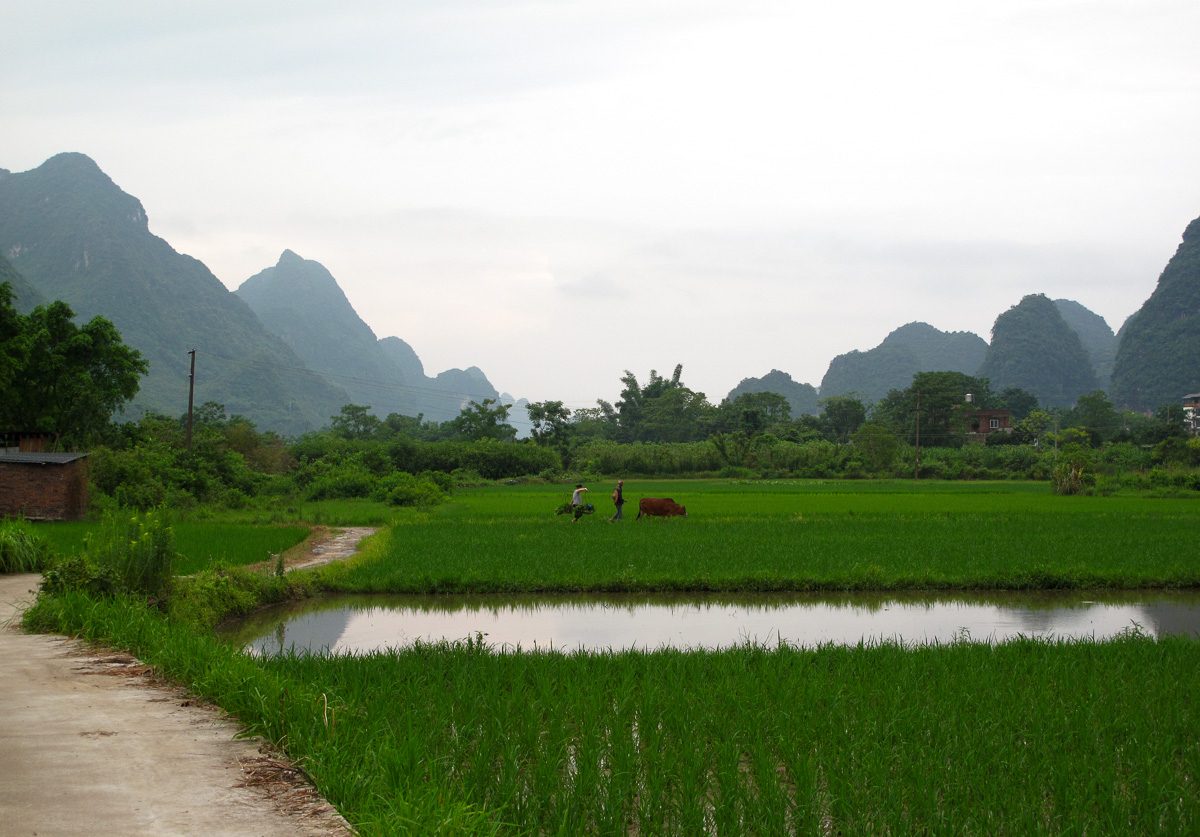 Karst hills and farmland near Yangshuo